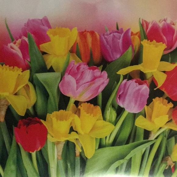 Meet your Posher, Trish - Picture 1 of 1